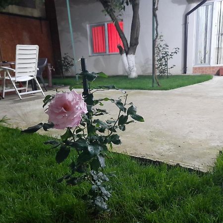 Cazare La Mare Patrascu Appartement Constanţa Buitenkant foto